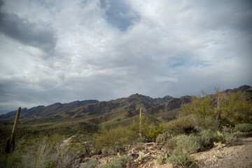 Fototapeta na wymiar Beautiful Tucson Arizona desert landscapes