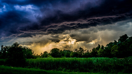 Storm over the forest and the field