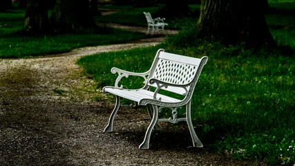 Bright wooden bench in the park