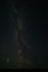 Obraz na płótnie Canvas milky way starry sky over a forest in a Russian village
