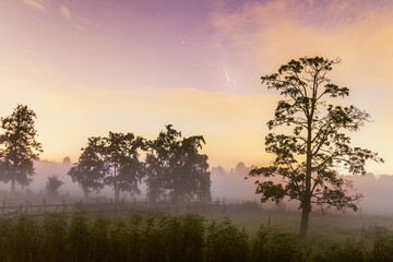 Comet Neowise in early morning fog