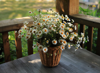 A bouquet of daisies in a plastic basket on a wooden table in the garden.
