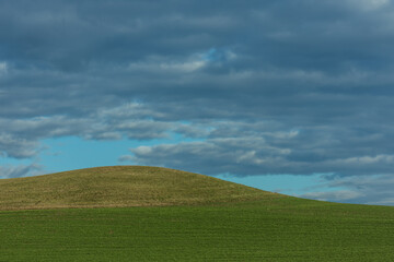 two different shades of green in a landscape