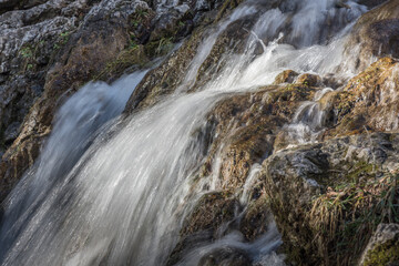 waterfall with rocks and plants