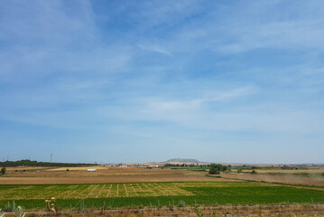 Fototapeta na wymiar Landscape with sown in Castilla la Mancha spanish region