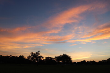 sunset over the field