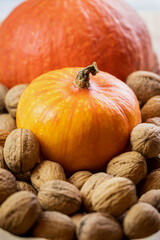 Hokkaido pumpkin and walnut. Autumn harvest of healthy food
