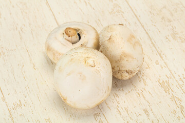 Raw Champignon heap for cooking