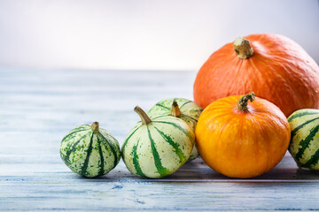 Variation of pumpkins on white wooden table. Autumn concept with copy space