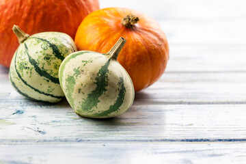 Colorful pumpkins on white wooden table. Autumn concept with copy space