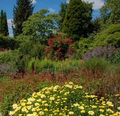 Hampshire, England, UK,. 2020.   Herbacous border of mixed flowering plants in an English country...