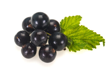 Fresh ripe sweet black currant