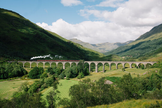 Train Traveling A Viaduct In A Green Landscape