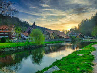 Fototapeta na wymiar Nature at sunset in Alsace. France. Europe
