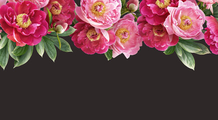 Floral banner, header with copy space. Pink peonies isolated on dark background. Natural flowers wallpaper or greeting card. © RinaM