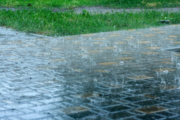 Large drops of heavy rain on a summer day on modern paving stones