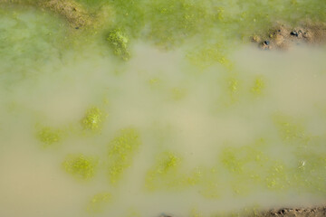 Mud ponds with waste water are covered with moss and methane gas bubbles spread across the water surface.