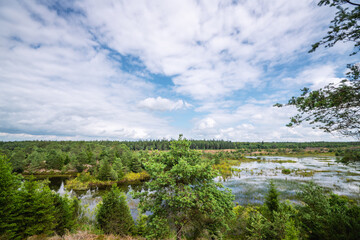Landscape scenery in the wetlands