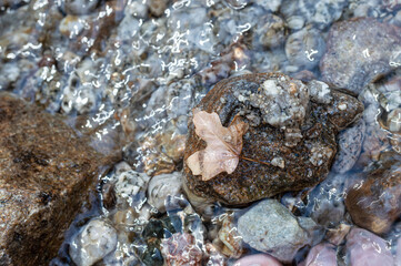 Rocky Mouth Waterfall stream
