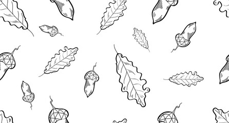 Seamless vector autumn pattern. Decorative oak leaves and acorns. Black lines on a white background. Forest illustration. Design for wrappers, textiles, wallpaper, paper and clothing.