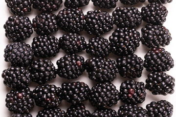 Tasty blackberry in a row isolated on white