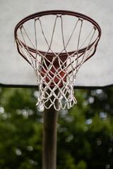 Basketball hoop in the summer