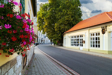 Fototapeta na wymiar The main street of Tokaj. Hungary.