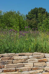 A wall of untreated natural stone. Summer landscape with grass, thistle flowers and blue sky.