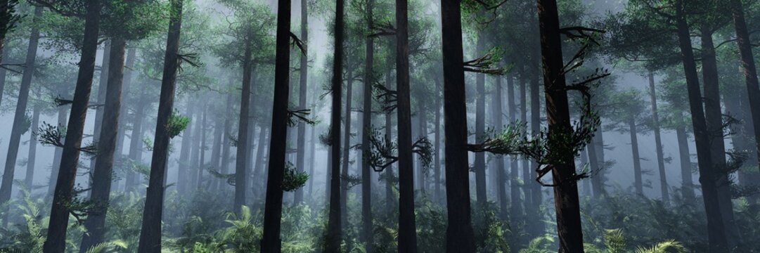 Trees in the haze, forest in the fog, morning in the forest, park in the smoke, 3D rendering