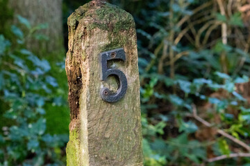Woodland post with number 5