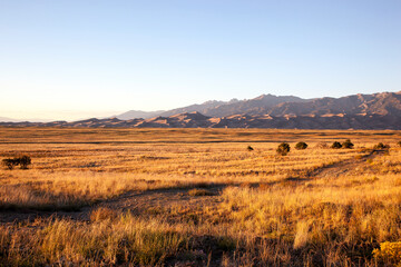Grass and Sand at Sunset meet at the Great Colorado Sand Dunes 