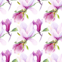 Hand drawn watercolor magnolia seamless pattern isolated on white background.