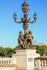 Fototapeta na wymiar statue over the seine river