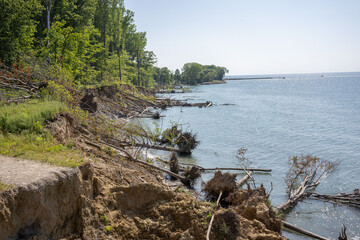 Lake Erosion, Trees fallen in Lake, Climate change, extreme weather, lake mudslide