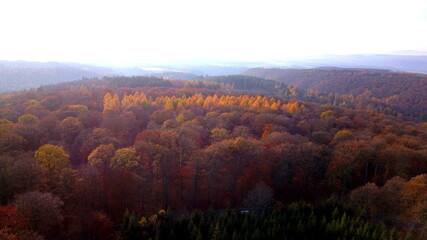 Obraz premium Herbst