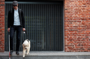 kind golden retriever helps a person to navigate in street, blind man need help while walking