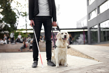unrecognizable blind man with helpful dog guide, man walk holding cane for disabled people, he is...