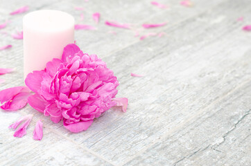 Obraz na płótnie Canvas Beautiful pink peony flowers and white candle on light grey stone background with copy space for your text top view. Greeting card, SPA and romantic concept.