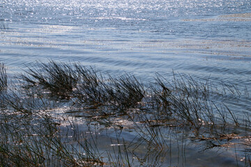 Lake in the interior of Basque Country