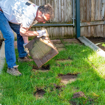 Landscaper lifts a heavy brick paver from a grass yard