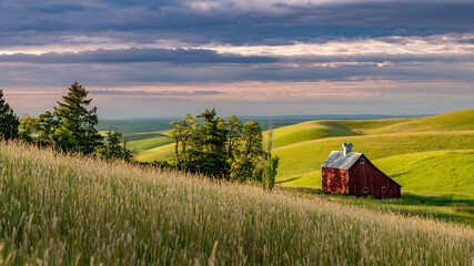 Farm crops lead to a beautiful red barn