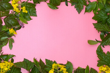 Small yellow flowers and green leaves on pink copy space background.