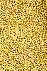 Green buckwheat scattered on a flat surface.