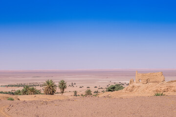 Fototapeta premium desert landscape in the desert
