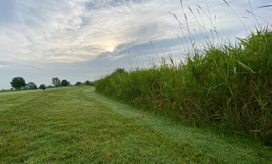 hazy sun on the golf course