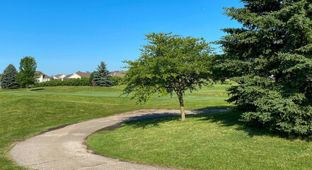 trees on the golf course