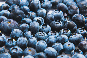 Blueberries on white background