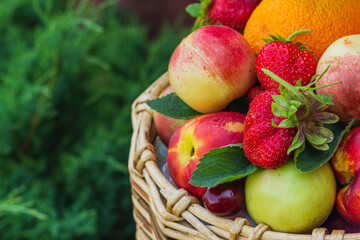 fruit basket on a green background of foliage, peaches, strawberries and cherries