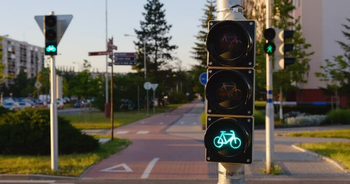 Bicycle traffic light changing from green to red. Bicycle icon on the semaphore in the street in summer