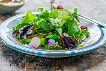 Green leaf salad